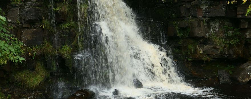 Kisdon Force