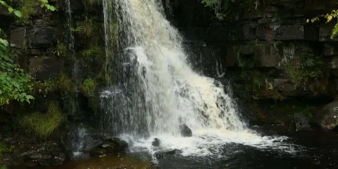 Kisdon Force
