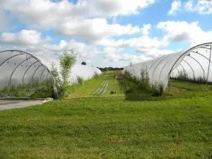 Les Jardins de l'Osme