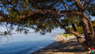 Crikvenica