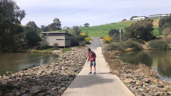 Gleeson Wetlands