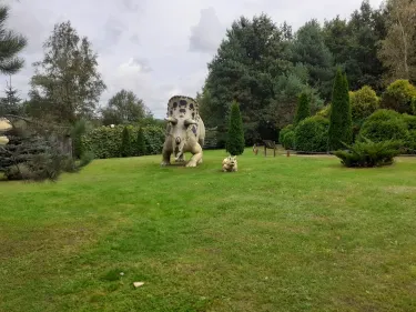 Jurajski Park Dinozaurow Muzeum Dziejow Ziemi