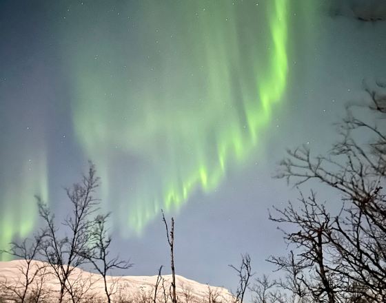阿比斯庫 自由行套票