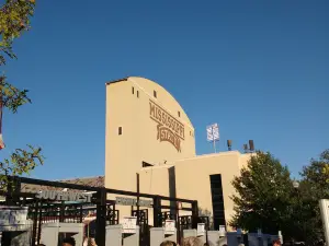 Davis Wade Stadium
