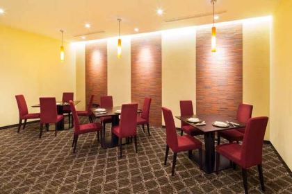 Chinese Restaurant Fan-Fahr