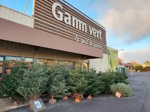 Gamm vert