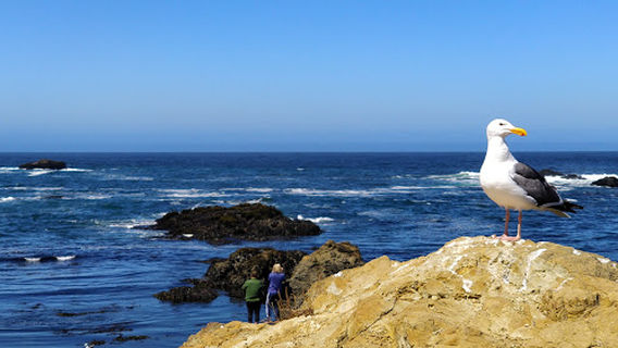 Fort Bragg