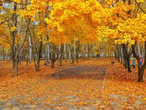 Park Pobedy