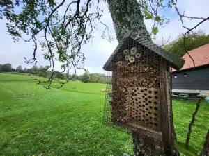 Eco-center Budinjak