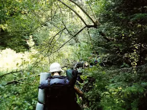 Satpura Adventure Club