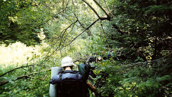 Satpura Adventure Club