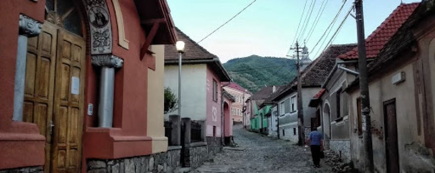 Cultural House Octavian Goga