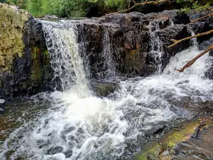 Ecoparque da Usina