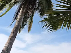 Nosy Boraha