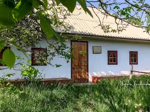 Muzey-Sadyba Pavla Muravsʹkoho