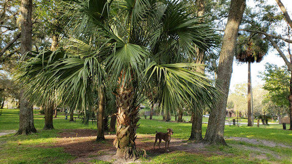 Longwood