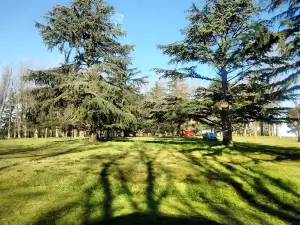 Lacunario de Bragado "Gral. San Martín" Park