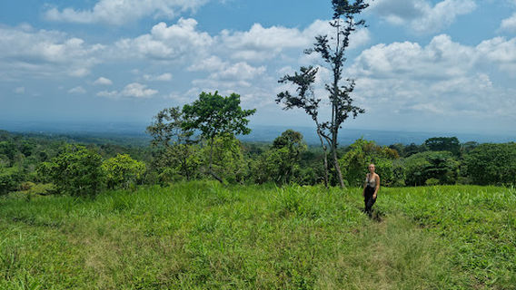 Tetebatu Monkey Forest