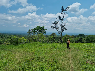 Tetebatu Monkey Forest