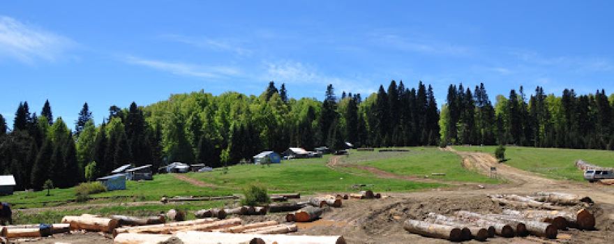 Hera Yayla