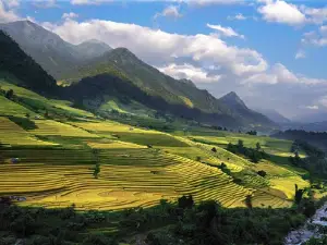 Rice Terrace View Point