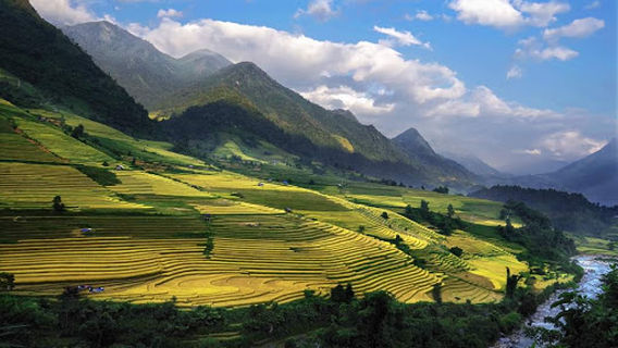 Rice Terrace View Point