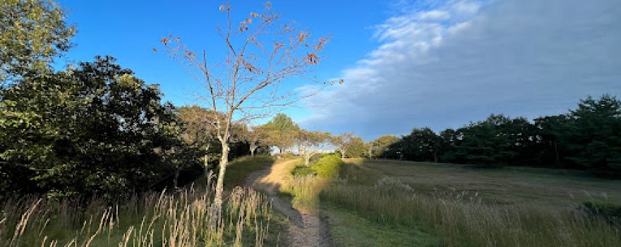 Niwatasancho Park
