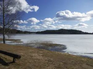 RMK Pangodi telkimisala