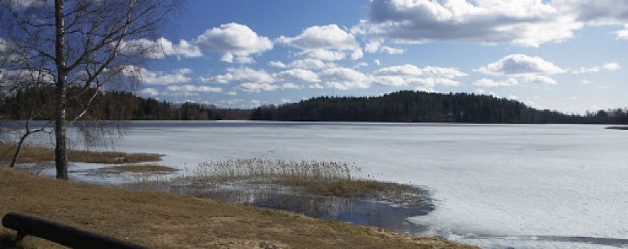 RMK Pangodi telkimisala