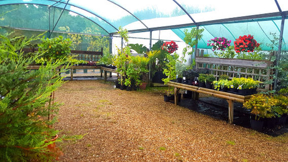 Chalcroft Nurseries
