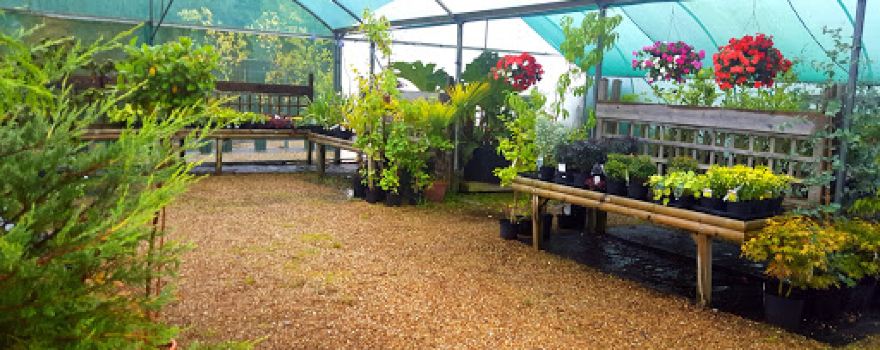 Chalcroft Nurseries