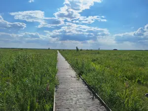 Ścieżka „Długa Luka”