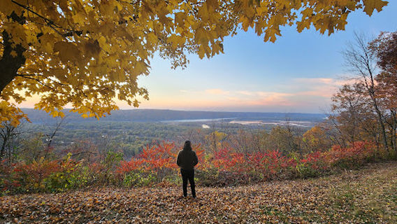 Wyalusing Hardwood Forest