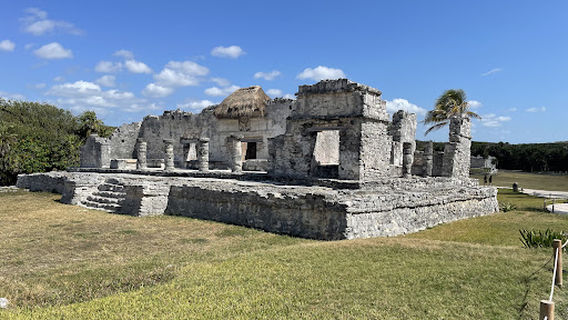 Tortugas Akumal: The Turtle Travel
