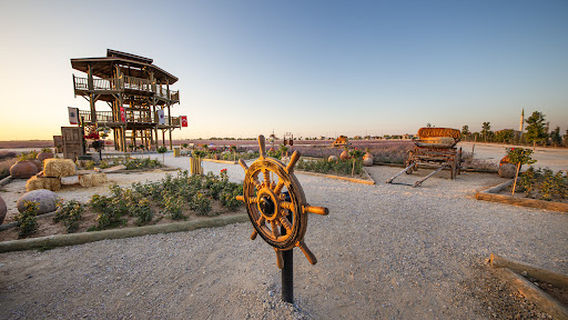 Karatay Lavanta Bahçeleri