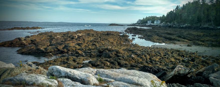 Gray Homestead Oceanfront Camping
