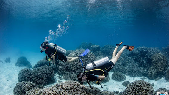 Bora Ocean Adventures