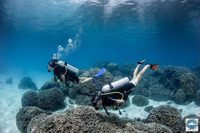 Bora Ocean Adventures