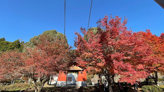 川代公園