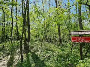 Polesie National Park