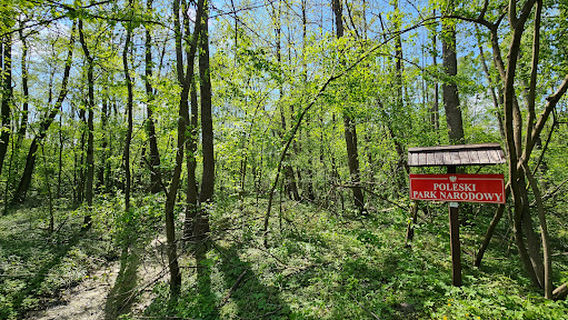 Polesie National Park