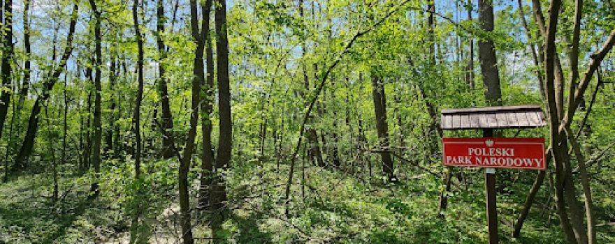 Polesie National Park