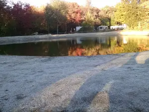 Sunsetview Farm Camping Area