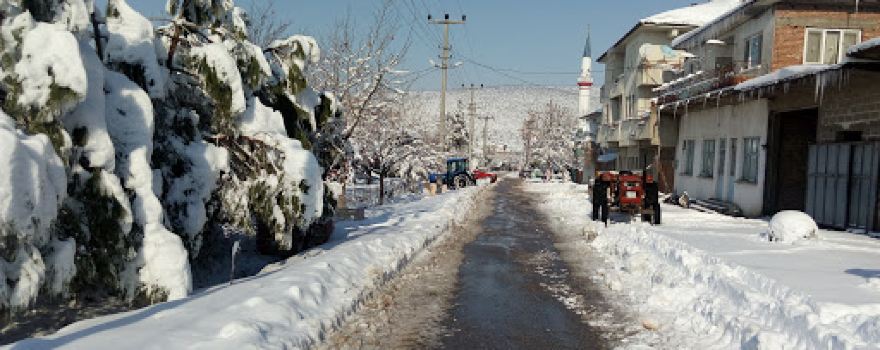 Cumhuriyet Parkı