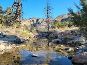 Coronado National Forest