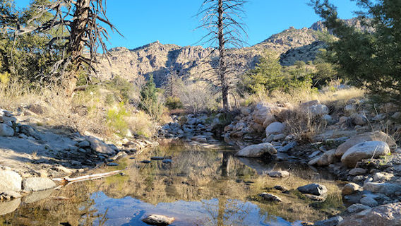 Coronado National Forest