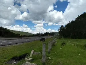 Hongos De Piedra, Benja Ms.