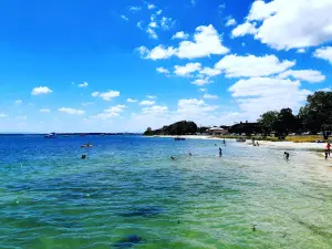 Pirate Park
