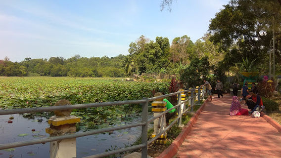 Sekupang Ponds Park