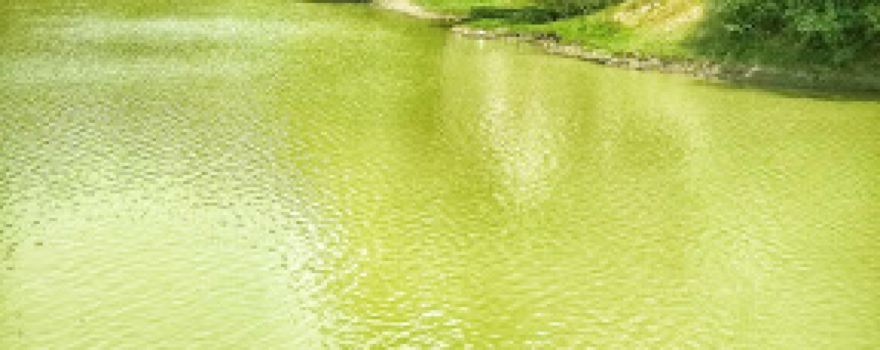 Mahamai
